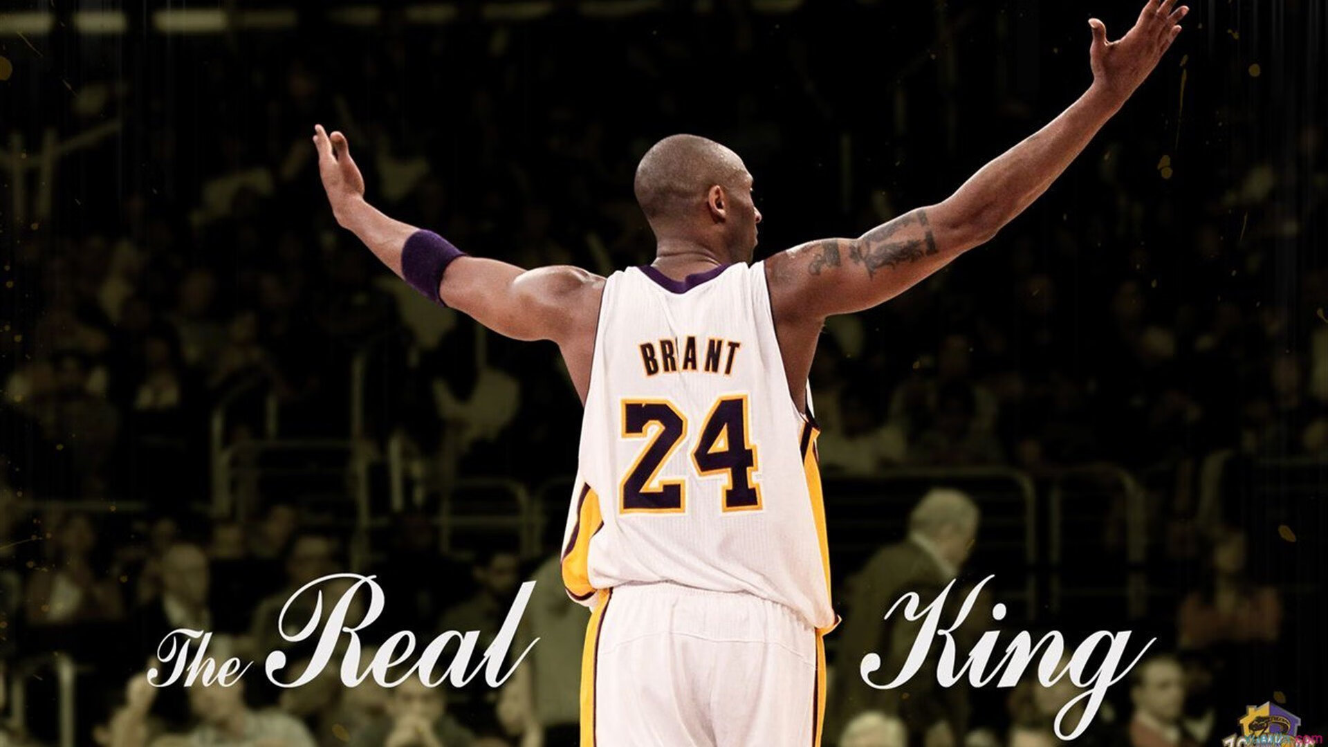 开云下载-从铁血防守到致命一击，弗拉霍维奇如何导演希腊神话？