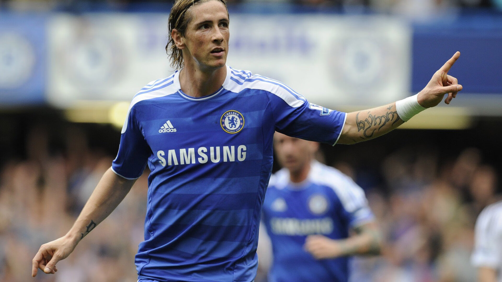 当潘帕斯雄鹰遭遇郁金香风暴，一场虚构对决中的亚洲闪电